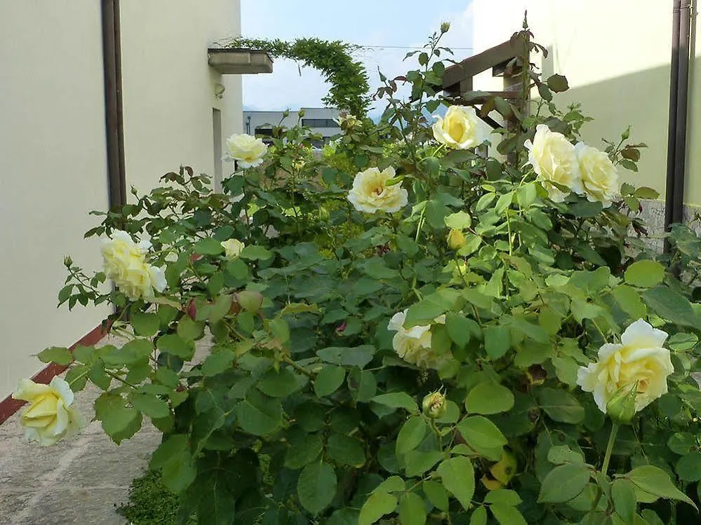 B&B Nautilus Puegnago del Garda 0*,