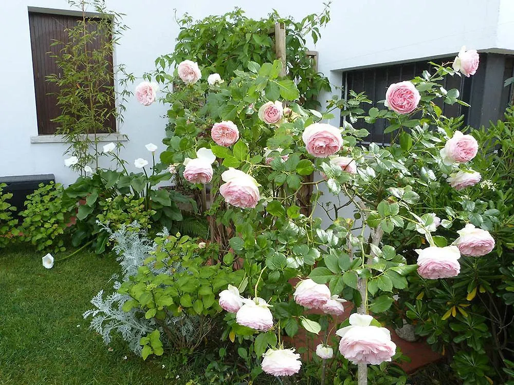 Bed & Breakfast B&B Nautilus Puegnago del Garda