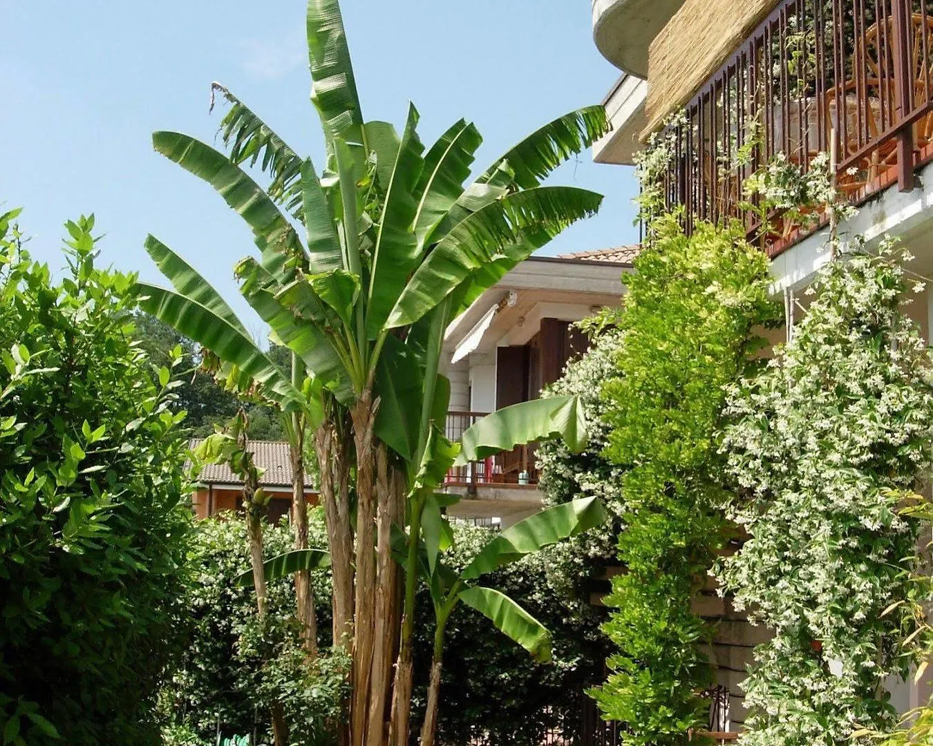 Bed & Breakfast B&B Nautilus Puegnago del Garda